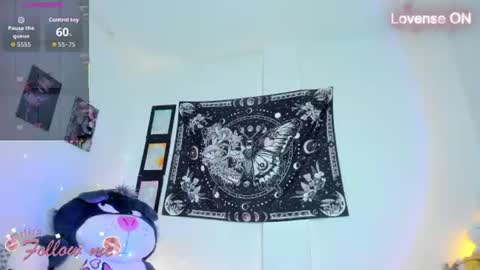        online show from 07.29.26