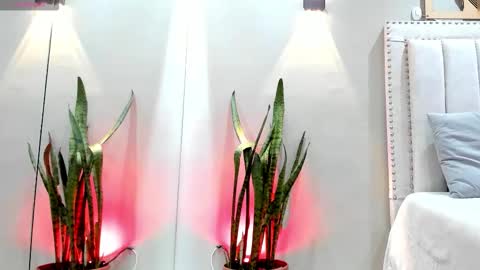 Snapshot of miranda_doll_ chatting on 11.14.25 online show from 11.14.25