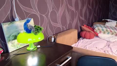 Mira online show from 06.14.26