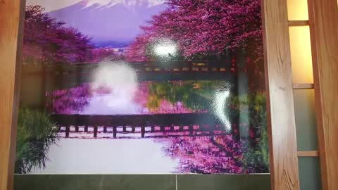 Charlotte online show from 09.16.25