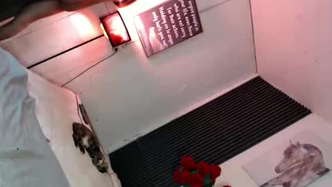 miss_bella69 online show from 11.05.25