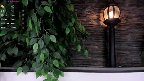 Snapshot of miss_danika chatting on 02.21.25 Danika online show from 02.21.25