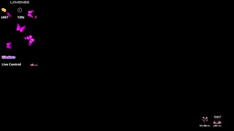 insta    online show from 02.20.25