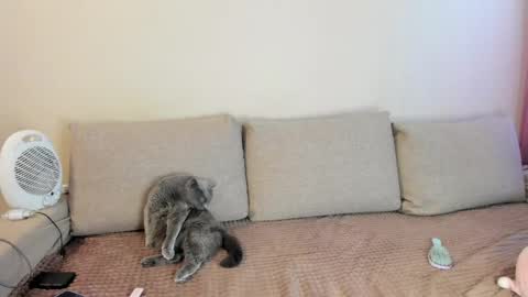 Kitty online show from 05.16.26