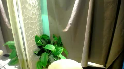 Moheera online show from 05.03.26