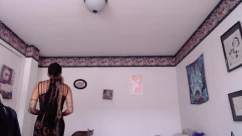 Anarkitten  online show from 01.30.25