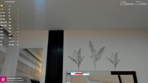 Snapshot of missbianca1 chatting on 02.14.25 Bianca Torres online show from 02.14.25