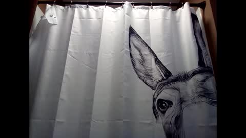 MissEeva online show from 12.05.24