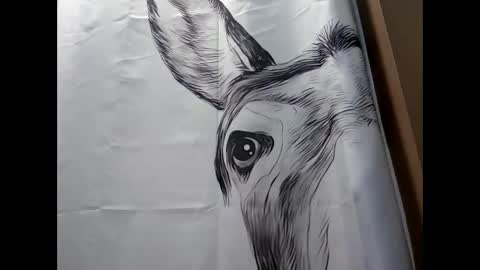 MissEeva online show from 02.17.25