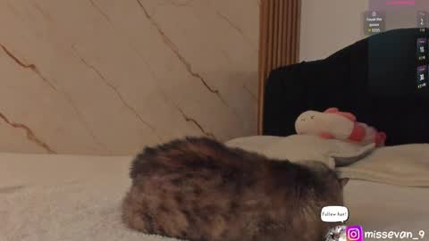 Sami Evan online show from 04.22.26