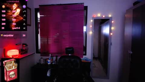 Snapshot of misslana_wn chatting on 11.17.25 LanaLul online show from 11.17.25