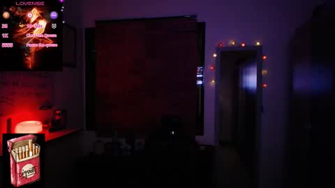 Snapshot of misslana_wn chatting on 12.02.25 LanaLul online show from 12.02.25