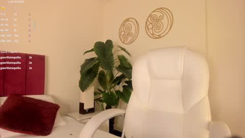 Snapshot of missvaleriaa chatting on 01.15.25 Valeria Davila online show from 01.15.25