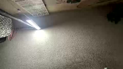 mister_nasty online show from 01.12.26