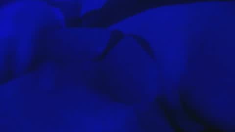 Snapshot of misterfixxit chatting on 10.04.25 Mike Cho online show from 10.04.25