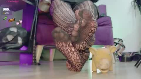 Jhadee online show from 02.23.26