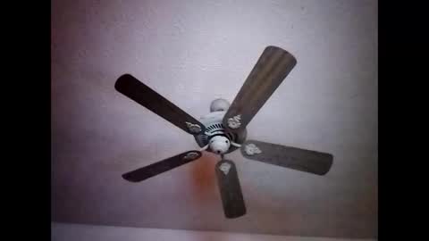 Snapshot of mitchnails69 chatting on 12.15.24 BobbyMitchGa online show from 12.15.24