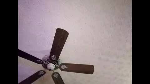 Snapshot of mitchnails69 chatting on 01.04.25 BobbyMitchGa online show from 01.04.25