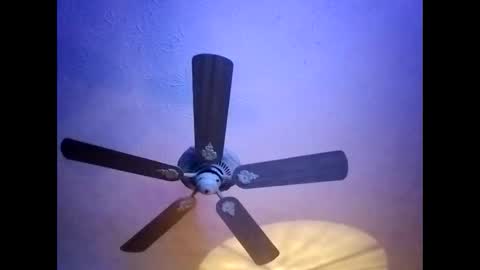 Snapshot of mitchnails69 chatting on 01.20.25 BobbyMitchGa online show from 01.20.25