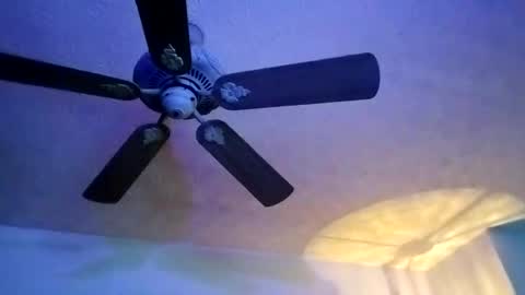 Snapshot of mitchnails69 chatting on 02.10.25 BobbyMitchGa online show from 02.10.25