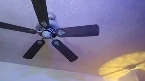 Snapshot of mitchnails69 chatting on 02.12.25 BobbyMitchGa online show from 02.12.25