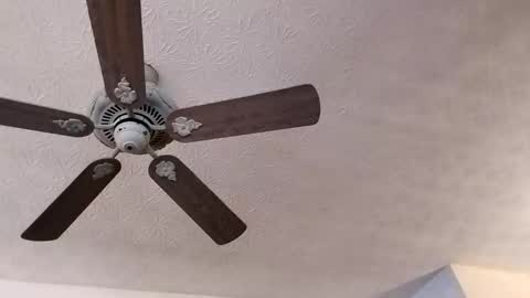 Snapshot of mitchnails69 chatting on 02.23.25 BobbyMitchGa online show from 02.23.25