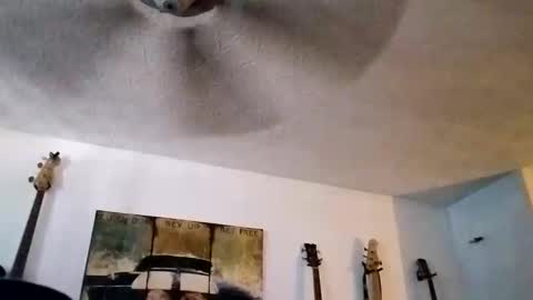 Snapshot of mitchnails69 chatting on 09.14.25 BobbyMitchGa online show from 09.14.25