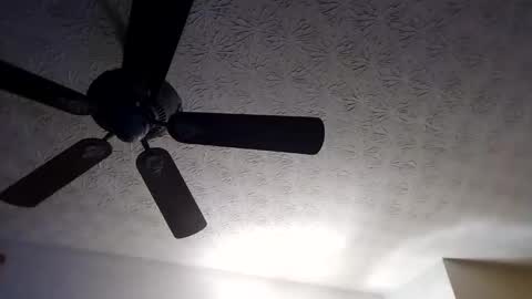 Snapshot of mitchnails69 chatting on 09.18.25 BobbyMitchGa online show from 09.18.25