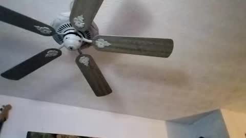 Snapshot of mitchnails69 chatting on 09.27.25 BobbyMitchGa online show from 09.27.25