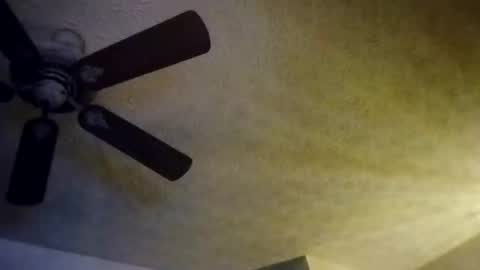 Snapshot of mitchnails69 chatting on 10.10.25 BobbyMitchGa online show from 10.10.25