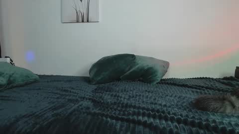 Yuka online show from 02.12.25