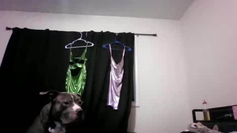 miztrezk online show from 05.12.26