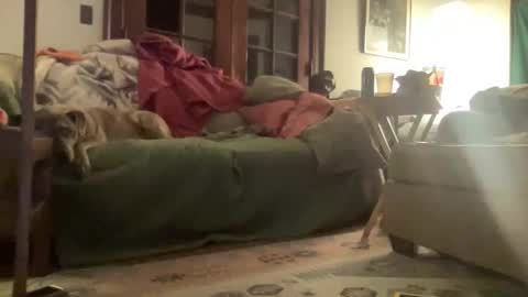 Mizz Storm online show from 03.15.26