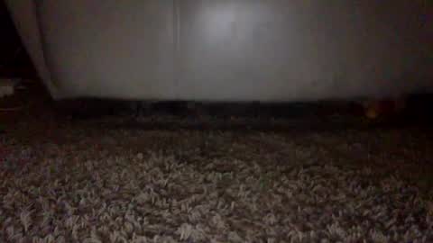 Snapshot of mjg175 chatting on 09.16.25 SexyRed online show from 09.16.25