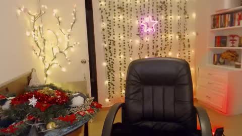 Snapshot of mkultra_aliice chatting on 12.29.24 Alice online show from 12.29.24