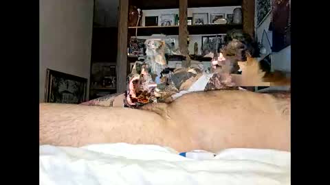 Kittykittybangbang online show from 02.15.26