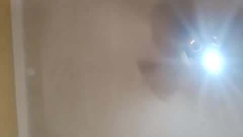 Snapshot of modelo_web18 chatting on 04.02.26 camilo online show from 04.02.26