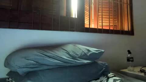 DigBreed online show from 01.02.25