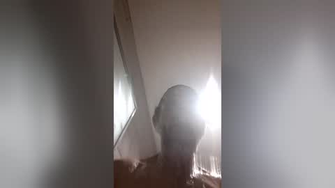 moemoe14 online show from 07.02.26