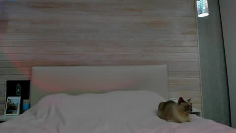 Molly Hunt online show from 03.01.26