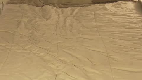 Mondolorian online show from 10.29.25