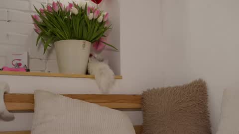 monicaasis online show from 03.08.25