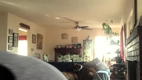 Snapshot of monkeedance chatting on 12.11.24 Monkee Dance online show from 12.11.24