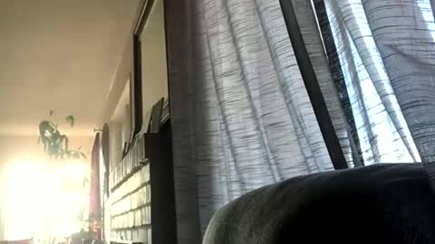 Snapshot of monkeedance chatting on 12.17.24 Monkee Dance online show from 12.17.24