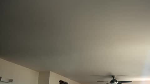 Snapshot of monkeedance chatting on 01.12.25 Monkee Dance online show from 01.12.25