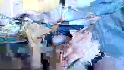 Snapshot of mookie2 chatting on 01.11.25 mookie2 online show from 01.11.25