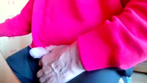 Snapshot of mookie2 chatting on 03.23.26 mookie2 online show from 03.23.26