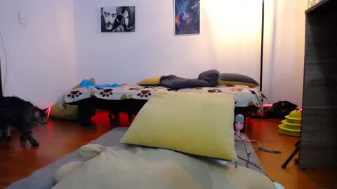 Luna online show from 01.28.25