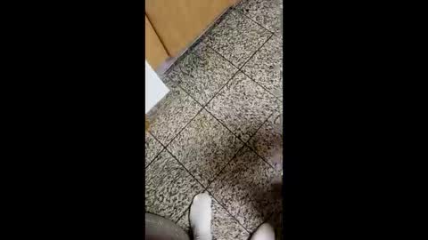 moos1 online show from 10.04.25