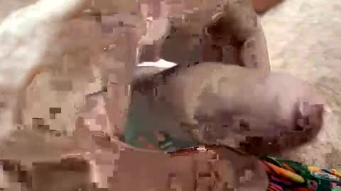 Snapshot of moreletii chatting on 01.07.26 Me online show from 01.07.26